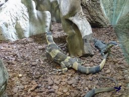 Haus des Meeres 4.02.2026